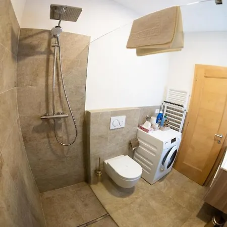 Apartman Flow Karl Wolf Park *